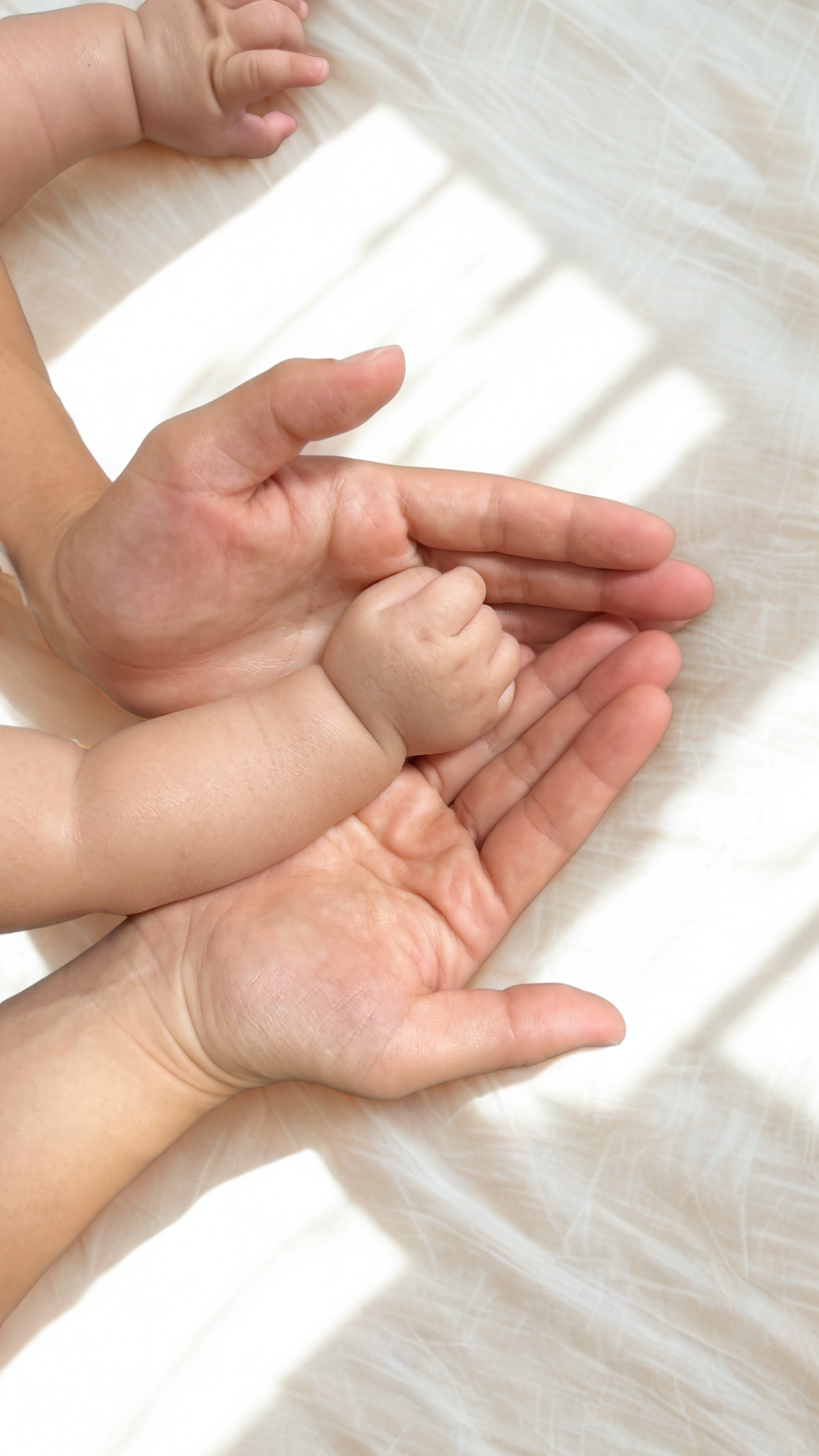 赤ちゃんの手